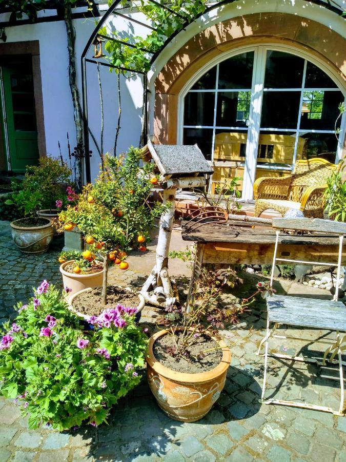 Willkommen In Unserem Kleinen Paradies Venningen Exterior photo