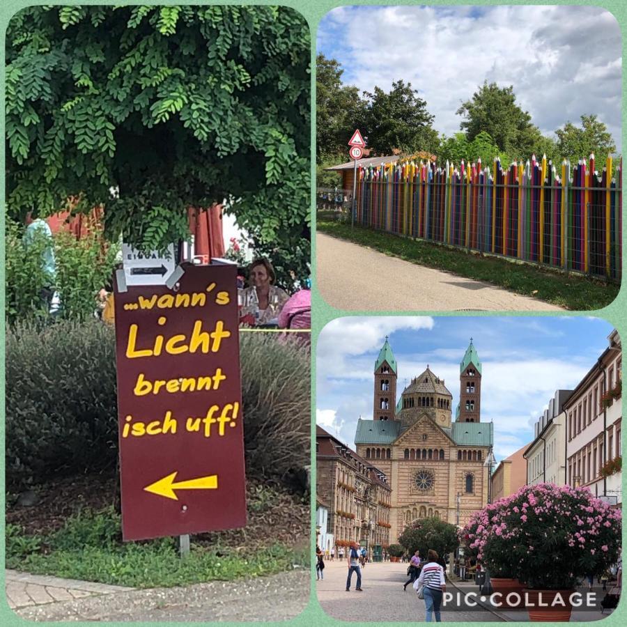 Willkommen In Unserem Kleinen Paradies Venningen Exterior photo